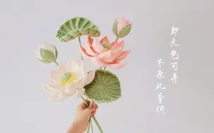 Download Video: 钩针荷花：此见天真，步步生莲