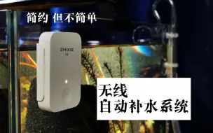 Télécharger la video: 【超方便！！】无线自动补水系统终于研发成功！