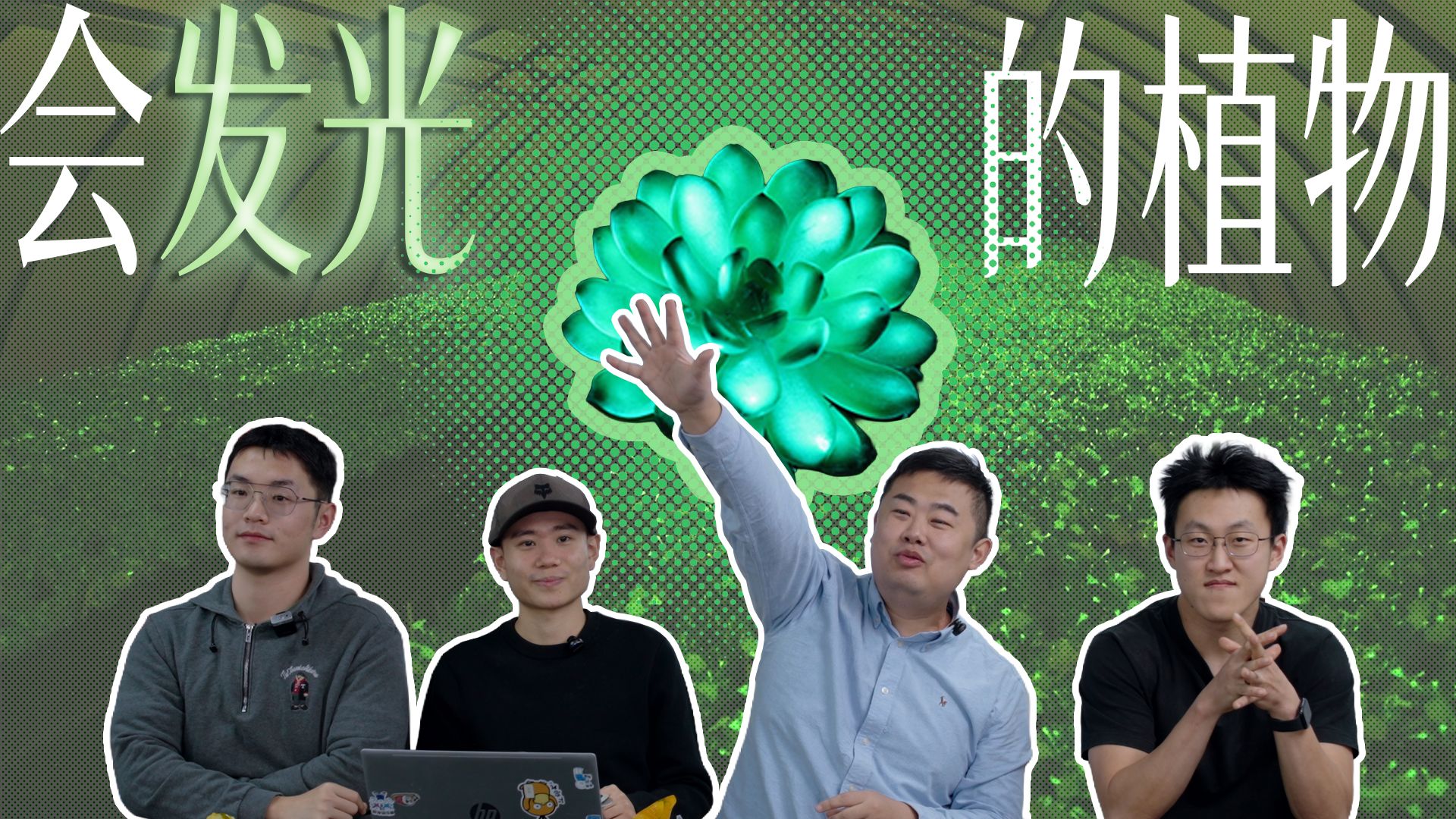 科学家把荧光粉注入植物中，于是他们得到了一款太阳能小夜灯……【智人组会 | 视频播客】