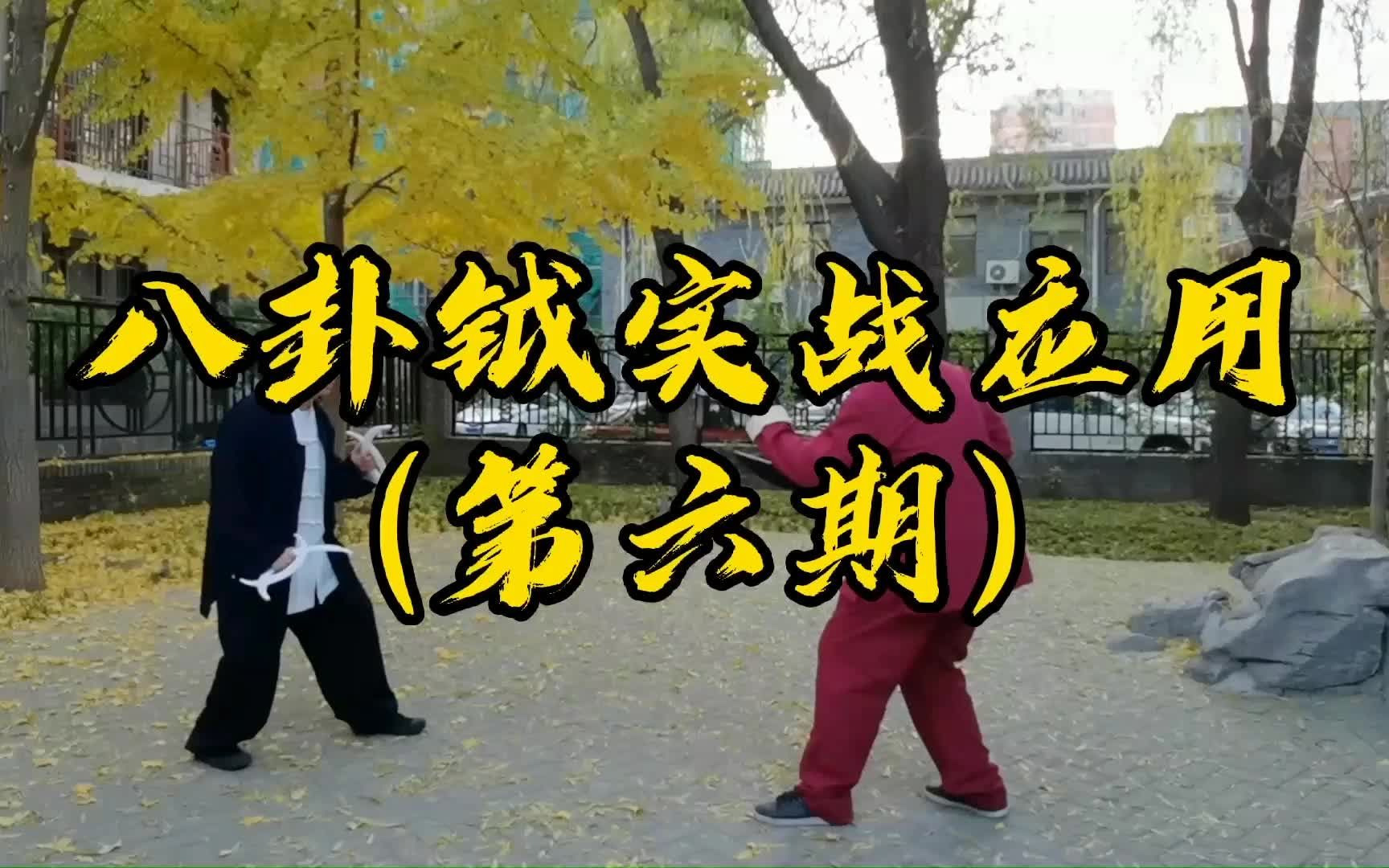 八卦钺第六期反臂劈钺这招杀伤力太强学会了也别用