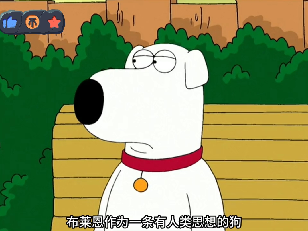 布莱恩难得深情一回,结果孩子不是他的 # 恶搞之家