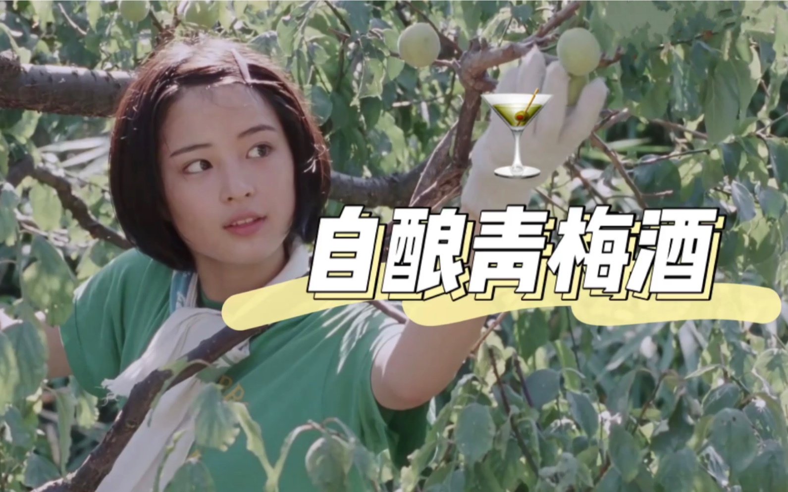 自酿青梅子酒|海街日记电影同款梅子酒,完美夏日必备