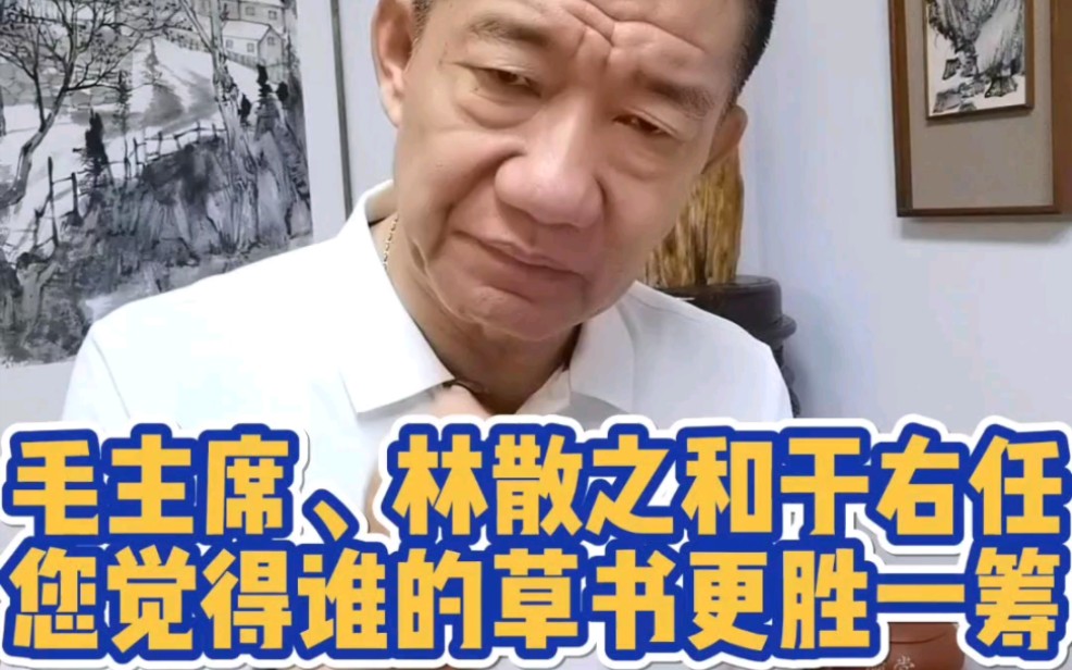 毛主席、林散之和于右任,您觉得谁的草书更胜一筹哔哩哔哩bilibili