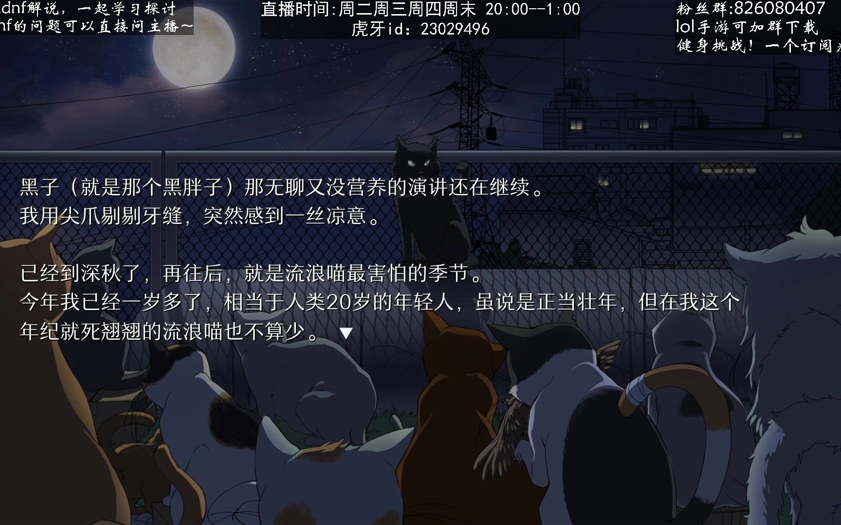 小信实况will美好世界p18大黄张京民