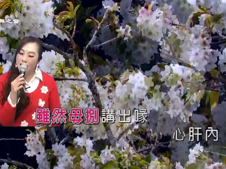 美女教師翻唱 閩南歌曲 醉萬年