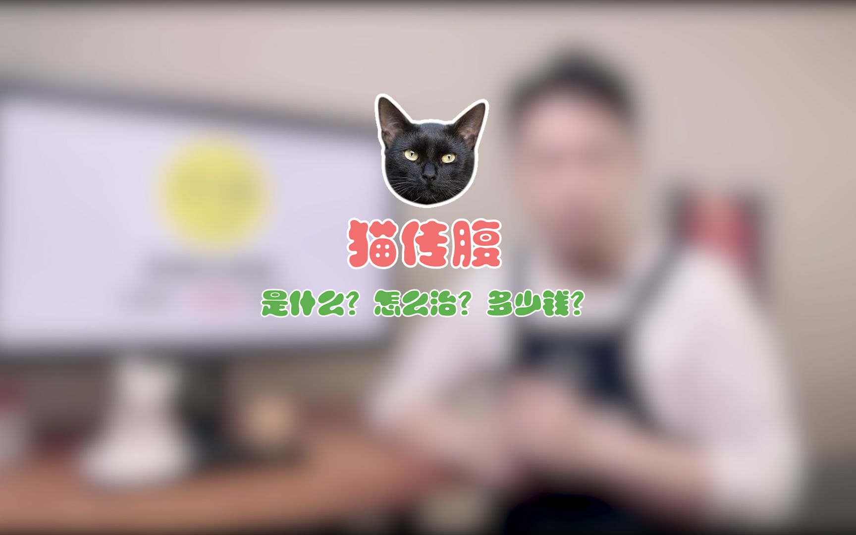 猫传腹有救吗?怎么治?多少钱?哔哩哔哩bilibili