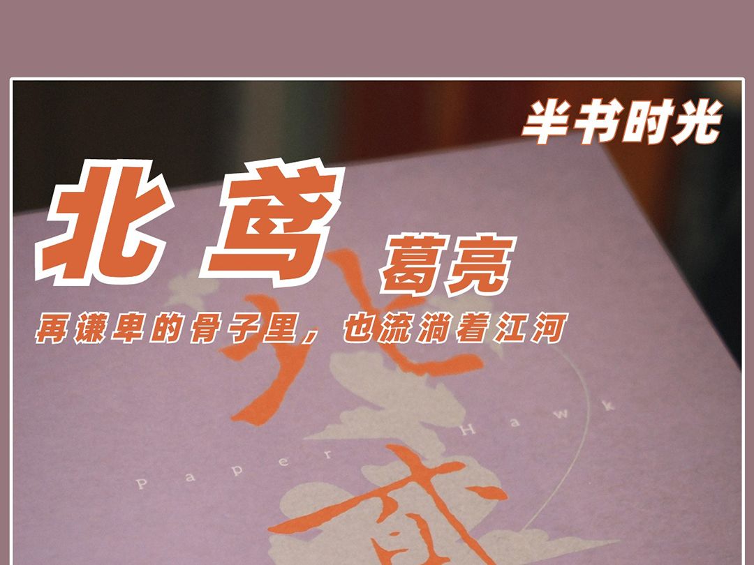 《北鸢》|“好风凭借力,奈何逆势而为”哔哩哔哩bilibili