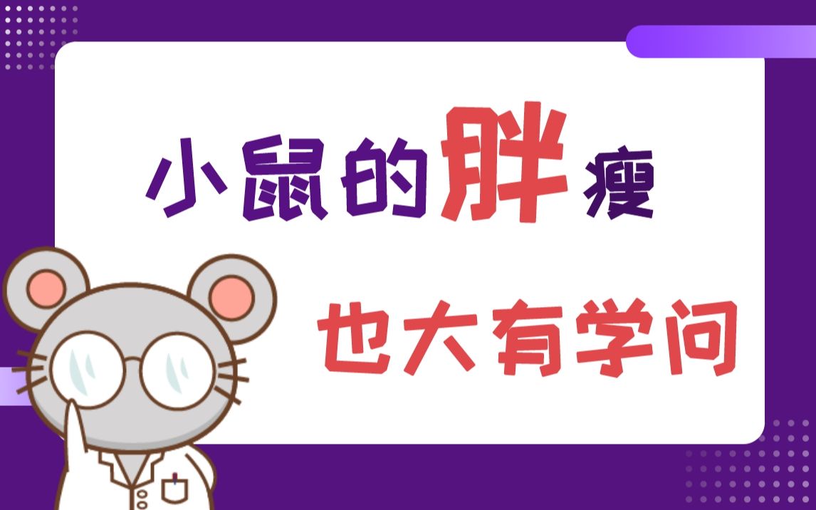 小鼠的胖瘦大有学问!又一期必看铲屎官来啦!哔哩哔哩bilibili