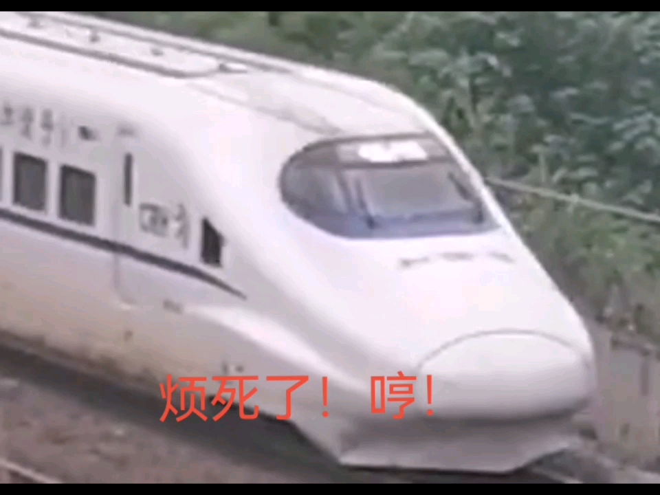 火车界的噩梦——那些火车头的表情包哔哩哔哩bilibili