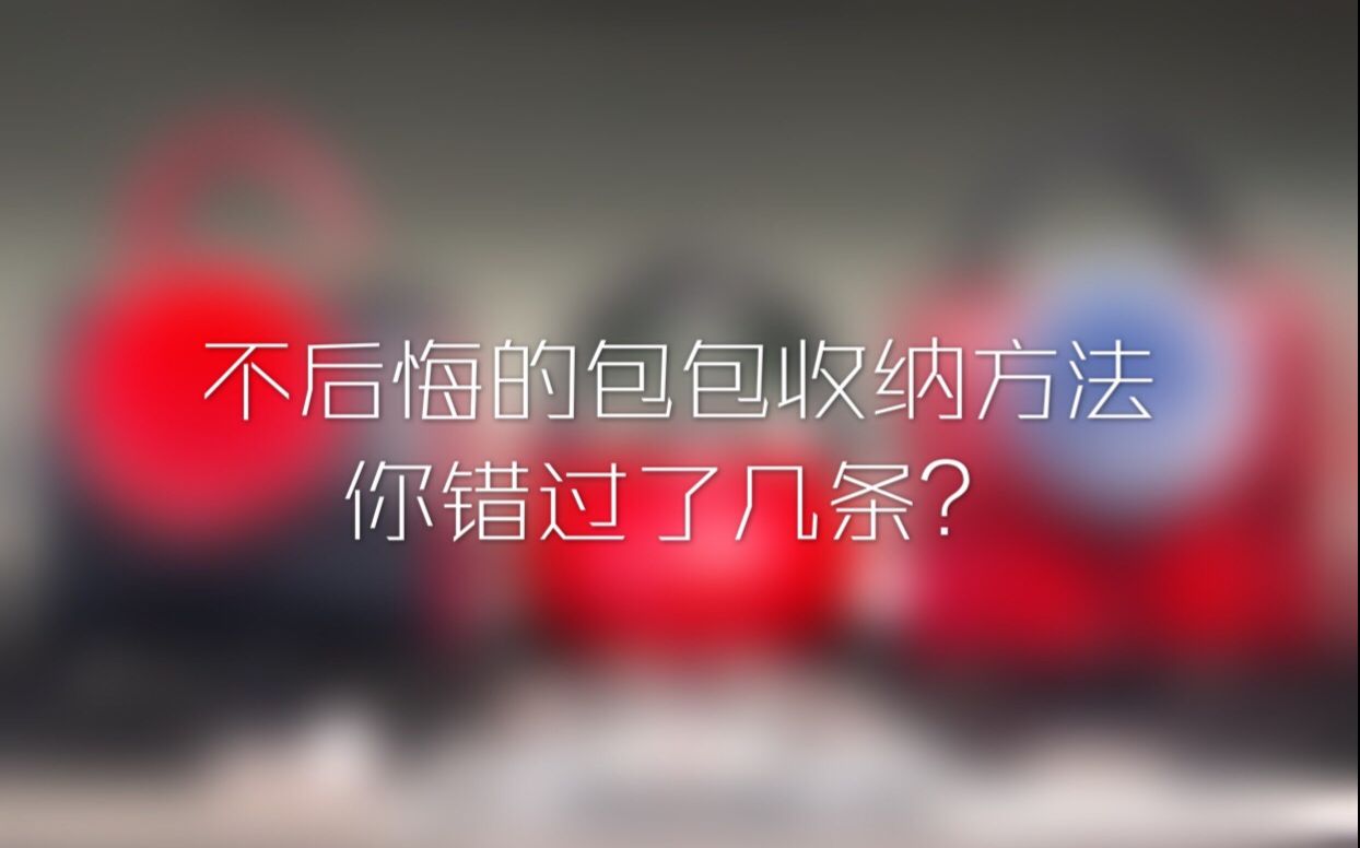 不后悔的包包收纳,你错过了几条哔哩哔哩bilibili