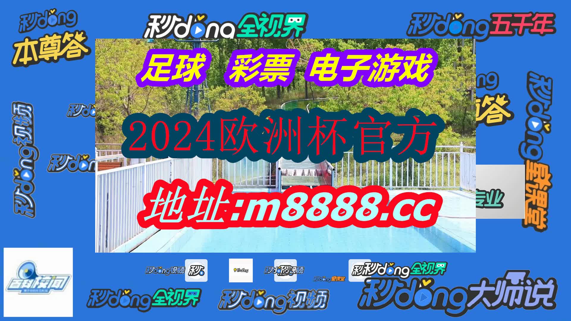 香港历史最快开奖结果(哔哩哔哩)317期