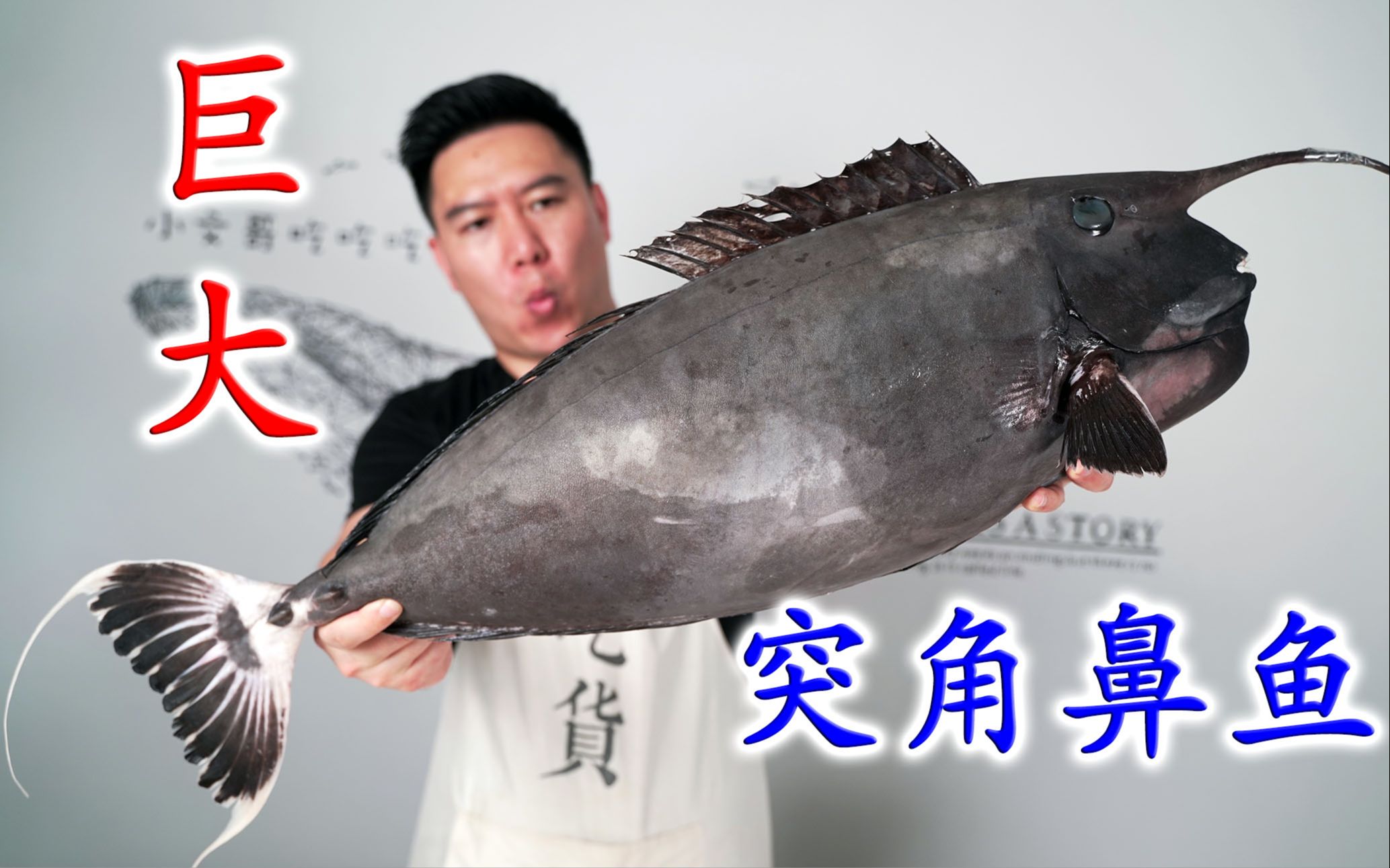 南县渔米欢歌食品有限公司