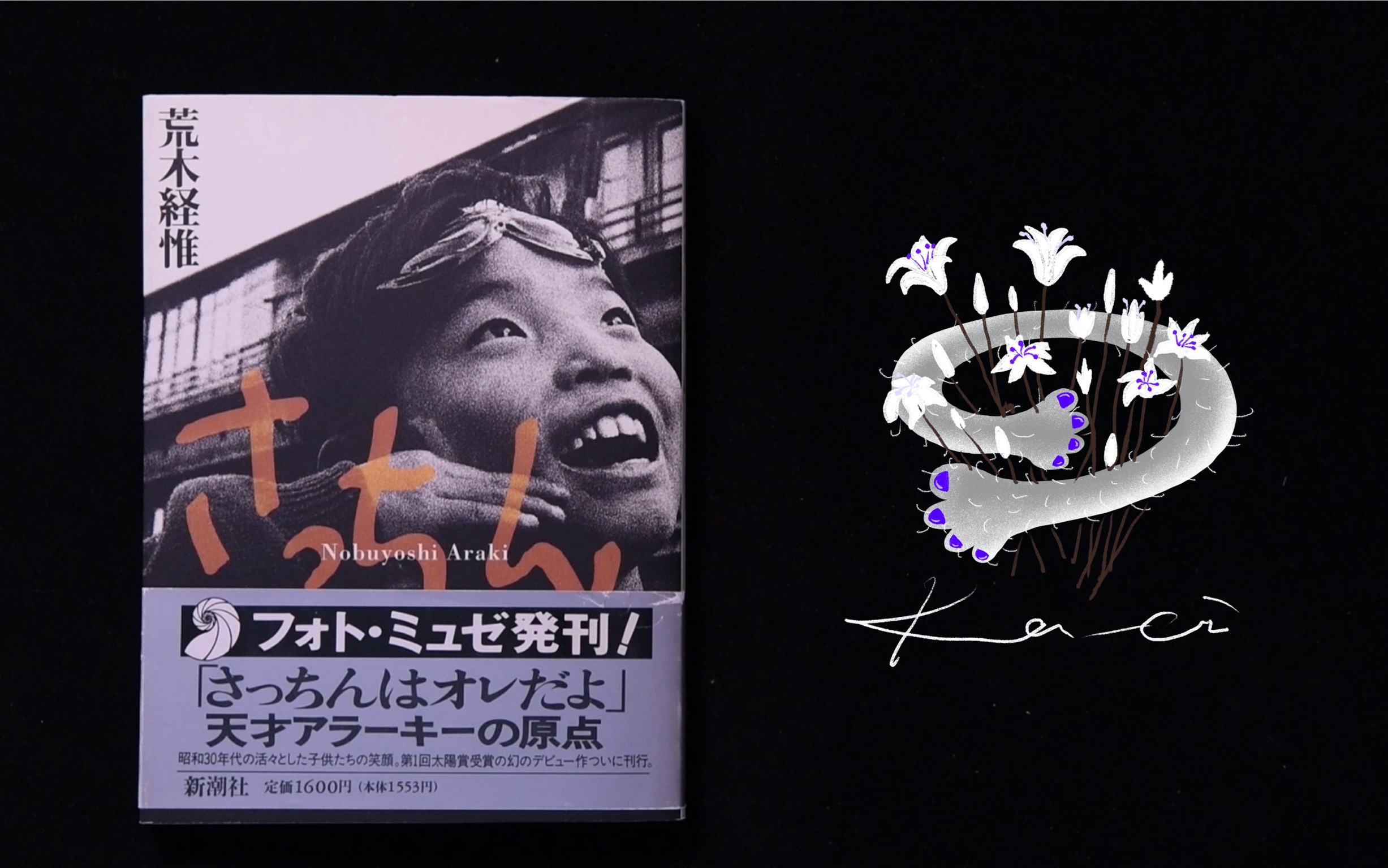 阿幸荒木经惟nobuyoshiaraki摄影画册翻书视频