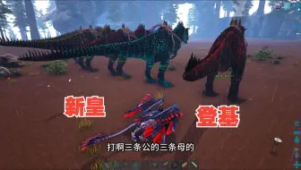 新皇鲨齿龙登基，南巨弟弟该退了