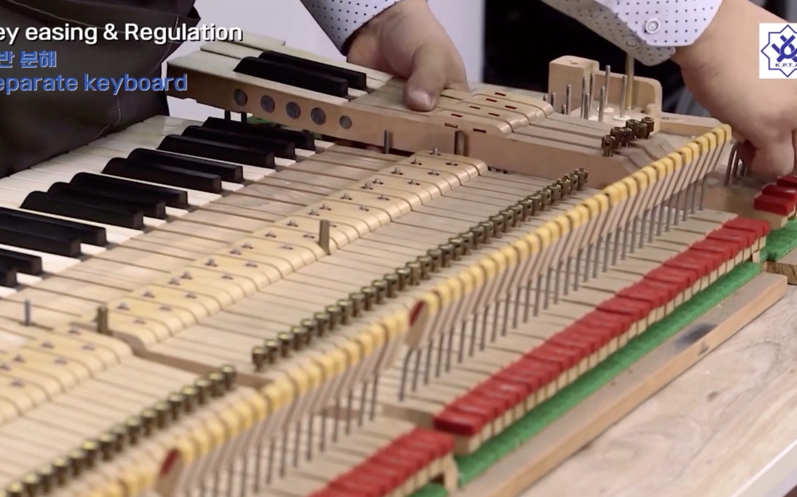 三角钢琴键盘击弦机调整 1键盘调整