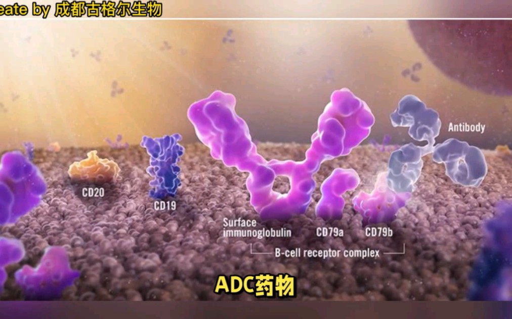 成都古格尔生物,一分钟带你了解抗体偶联药物ADC的作用机理哔哩哔哩bilibili