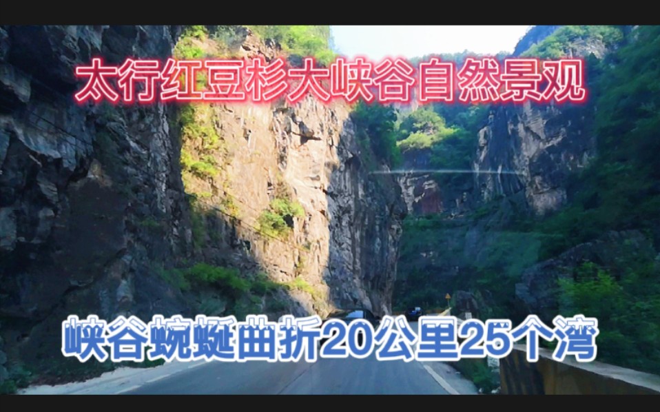 游陵川红豆杉大峡谷看太行山保存最长最完整太行八陉之白陉古道哔哩哔哩bilibili