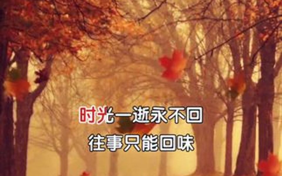 时光易逝永不回,往事只能回味!哔哩哔哩bilibili