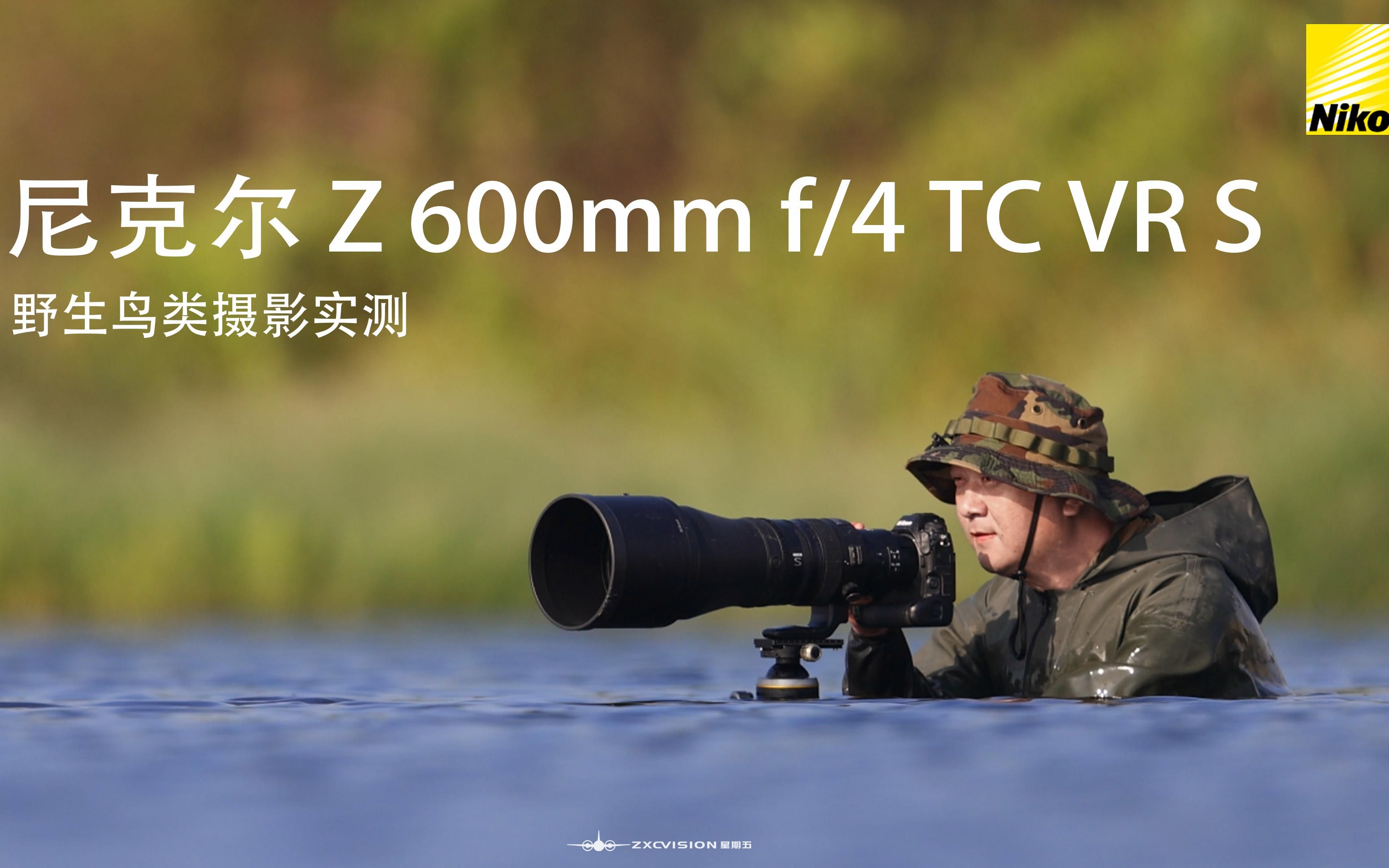 尼康 Z 600mm F4 Tc Vr S 野生鸟类摄影实测 哔哩哔哩