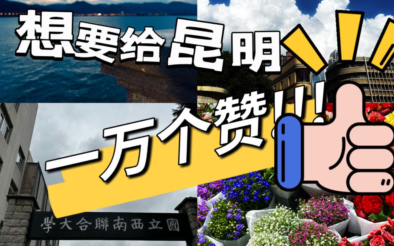 【暑期旅游推荐】昆明真是好地方啊,一万个赞!!哔哩哔哩bilibili