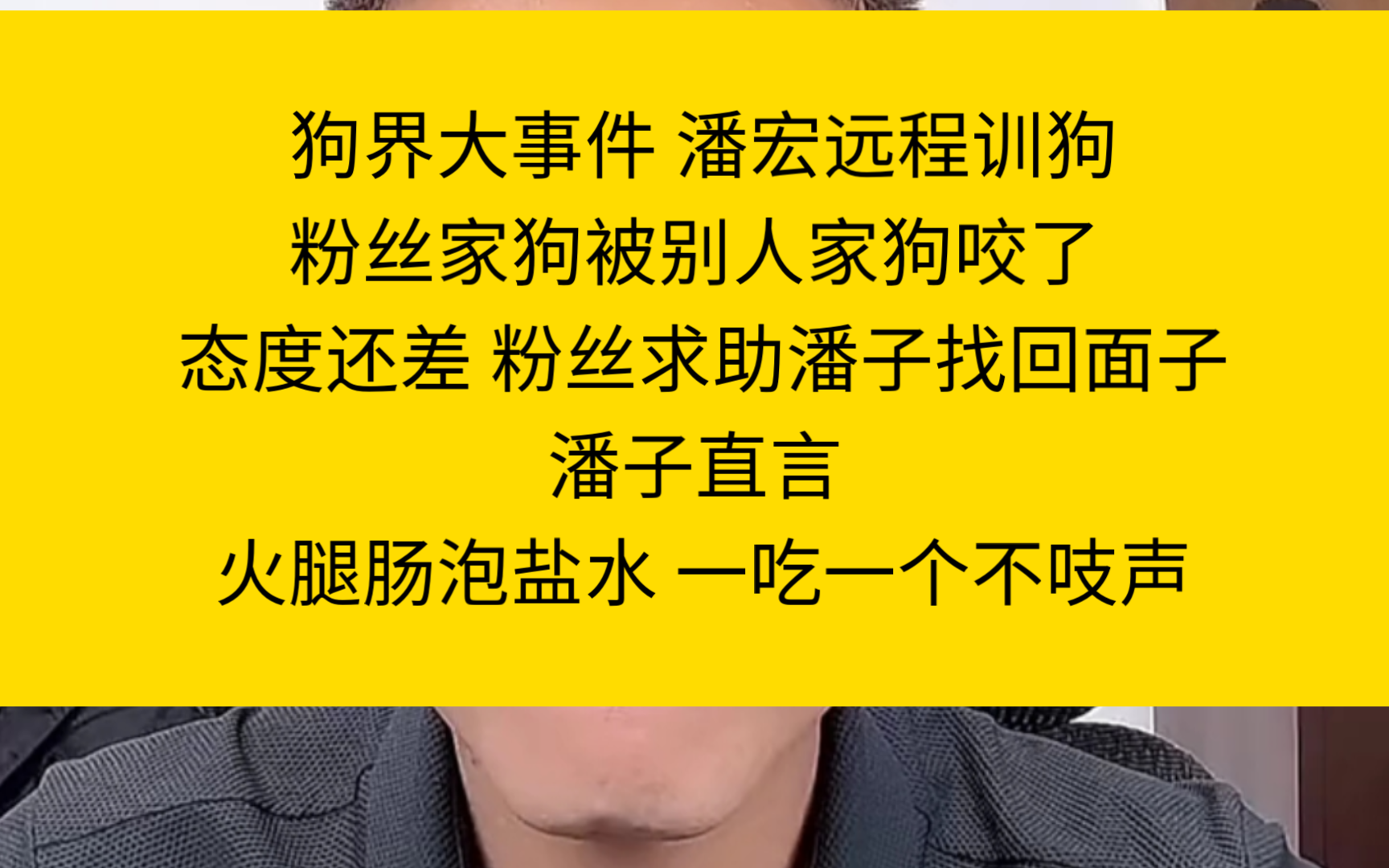 狗界大事件 潘宏远程训狗粉丝家狗被别人家狗咬了 态度还差 粉丝求助潘子有啥办法找回面子潘子直言 火腿肠泡盐水 一吃一个不吱声哔哩哔哩bilibili