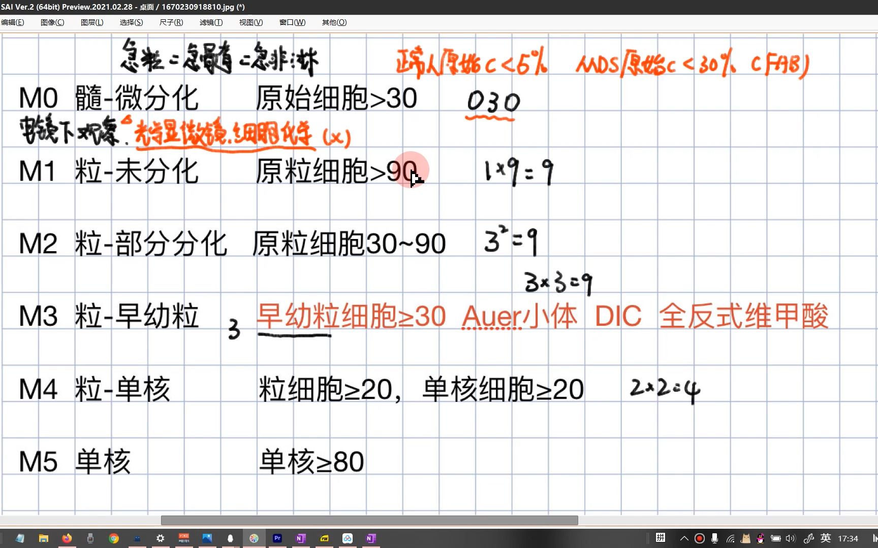 急性粒细胞白血病的FAB分型哔哩哔哩bilibili