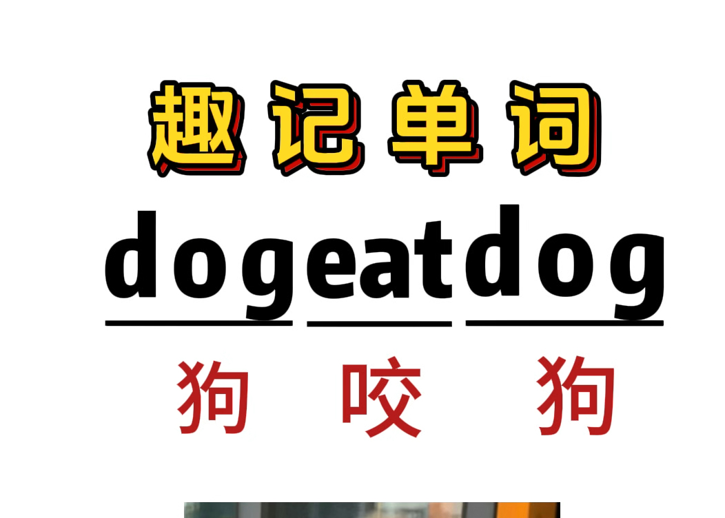 趣味记单词:dogeatdog哔哩哔哩bilibili