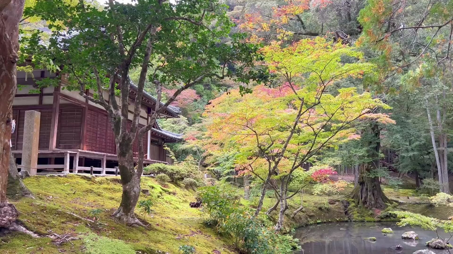 【京都】藏不住的名气与魅力！一口气解锁京都 17 处世界遗产的典故与秘密