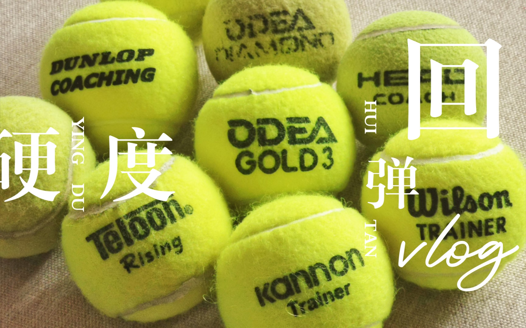 优帝尔的作用与功效(优帝尔:改善肠道健康,提高免疫力)