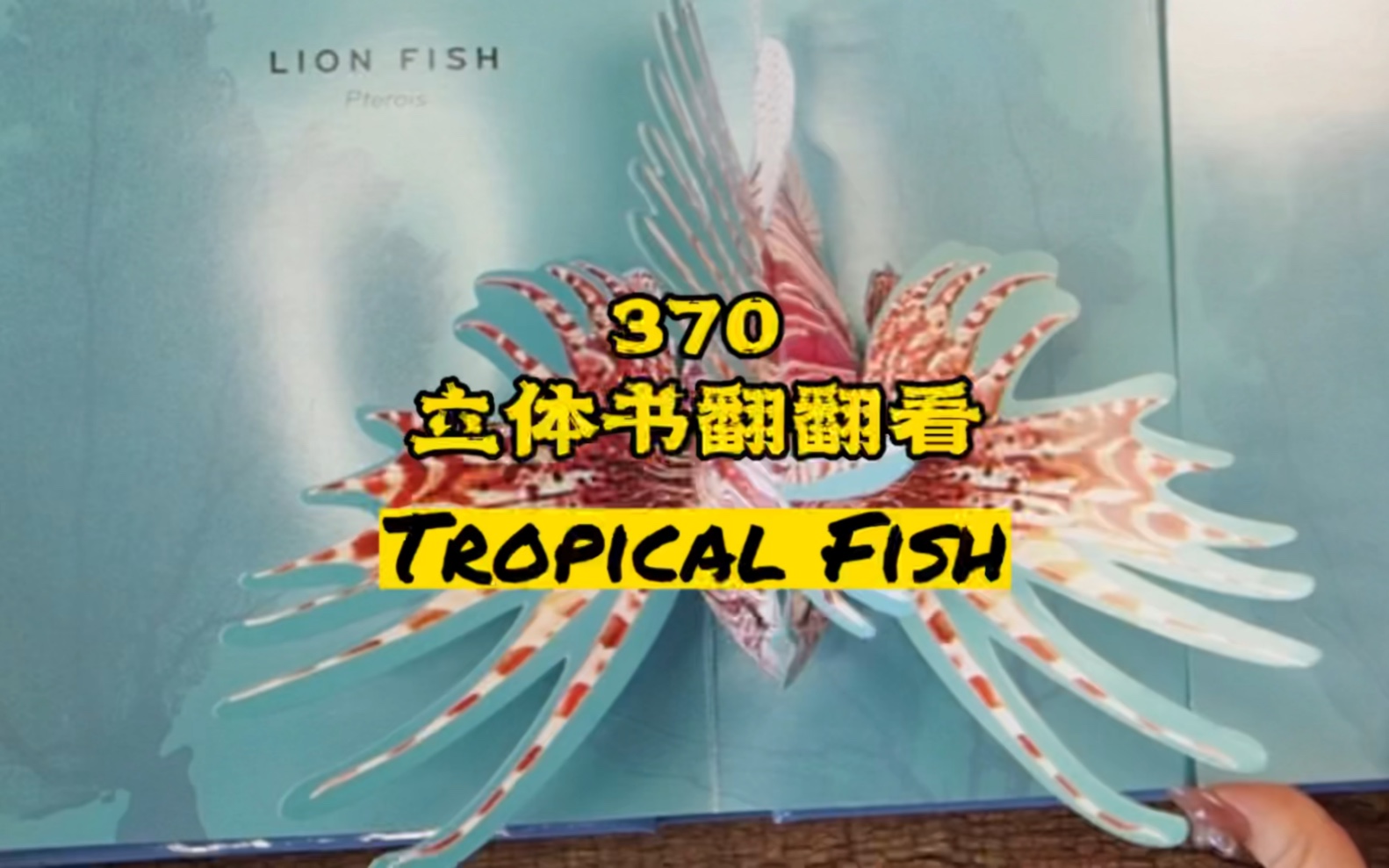 [图]370期｜立体书翻翻看《Tropical Fish》Pop-Up #立体书#云看立体书#小机关