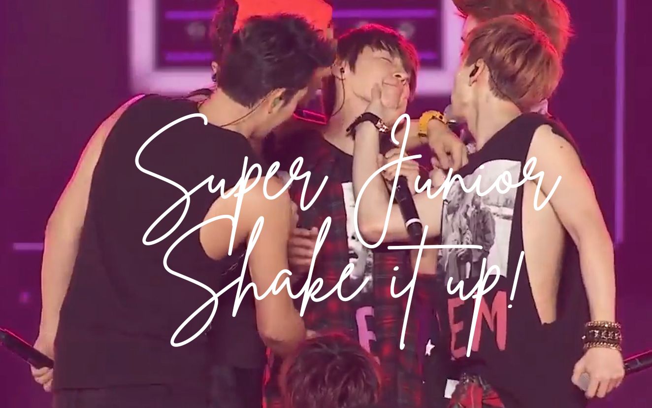 [图]SUPER JUNIOR SHAKE IT UP! MIX合集