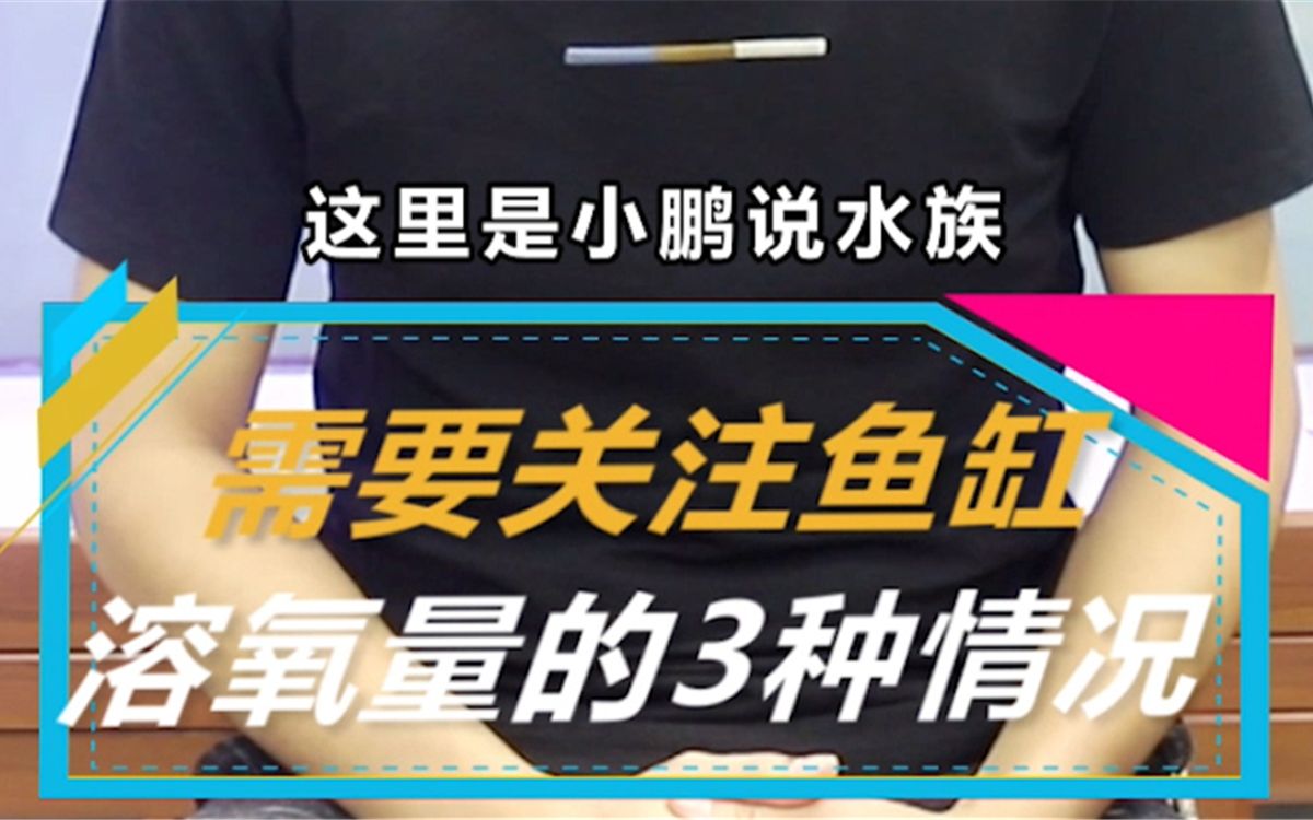 水族小知识,这3种情况,需要关注鱼缸的溶氧量哦哔哩哔哩bilibili