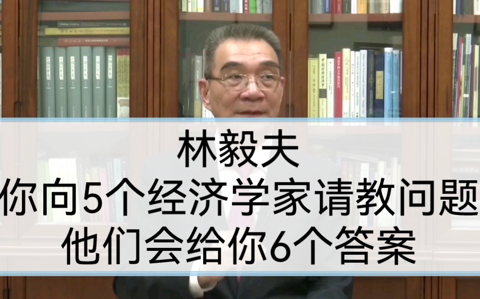 林毅夫:曾被西方认为最糟糕的制度安排,是如何取得了震惊世界的发展成就.哔哩哔哩bilibili