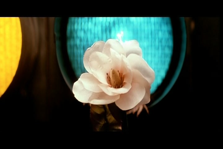 【影视回顾】木兰花 Magnolia (1999) Extras【英语】哔哩哔哩bilibili