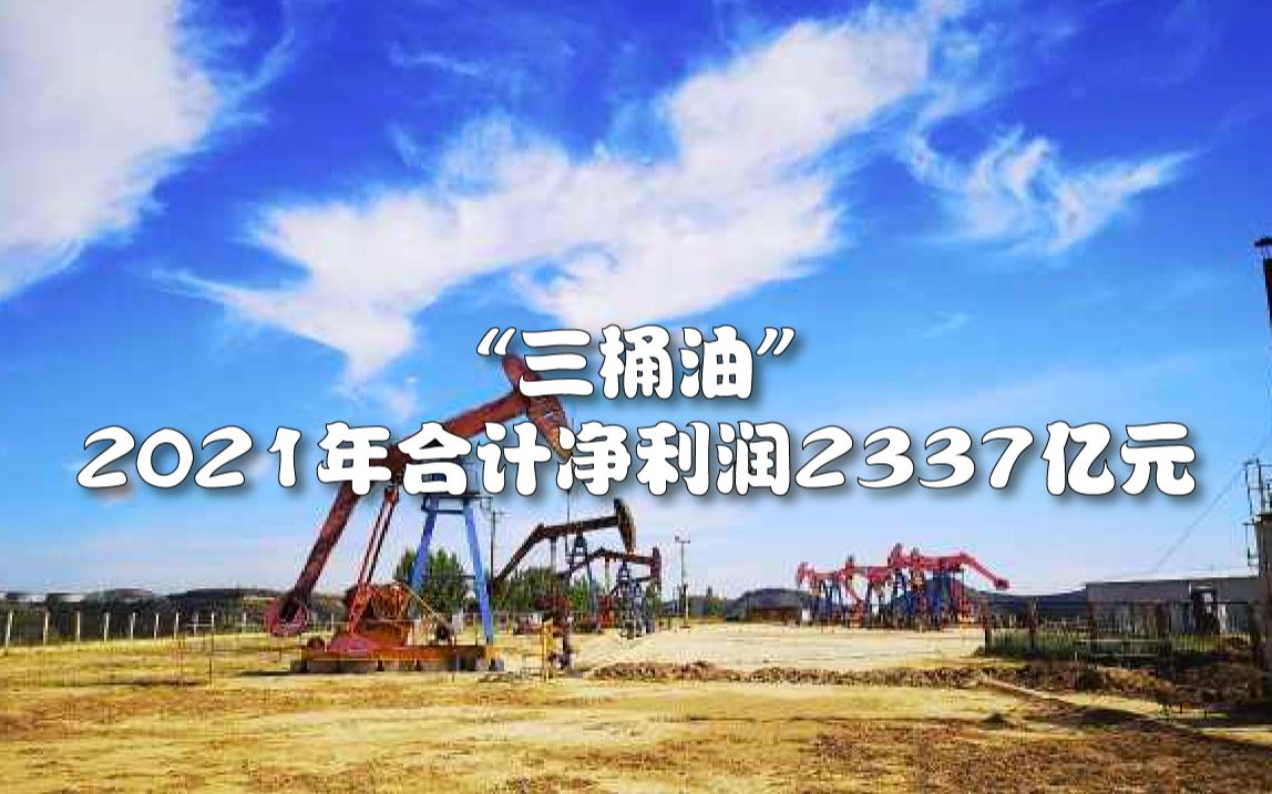 “三桶油”2021年合计净利润2337亿元哔哩哔哩bilibili