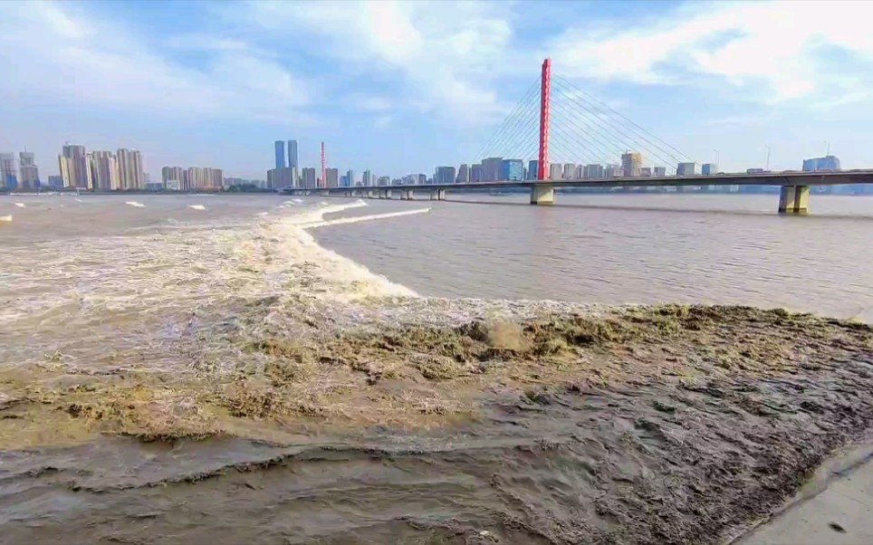 [图]弥补遗憾！八月十九钱江潮来了！城市阳台观潮点