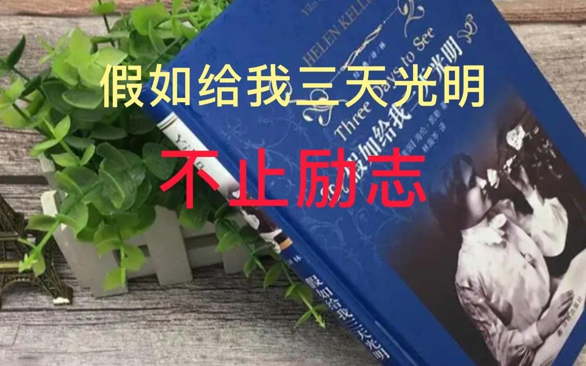 【磐他】《假如给我三天光明》不止励志,我有更深层的思考,关乎当今哔哩哔哩bilibili