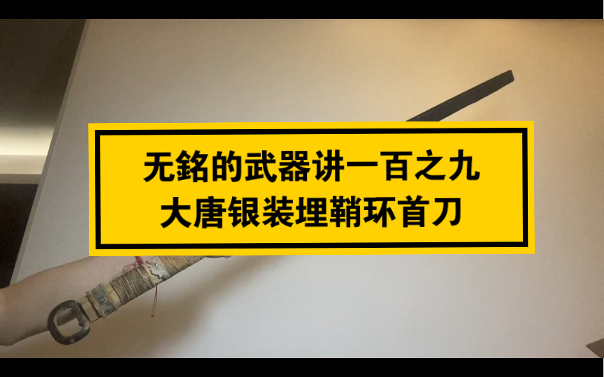 [图]无銘的武器讲一百之九———唐代银装环首刀！所见唯一一支！