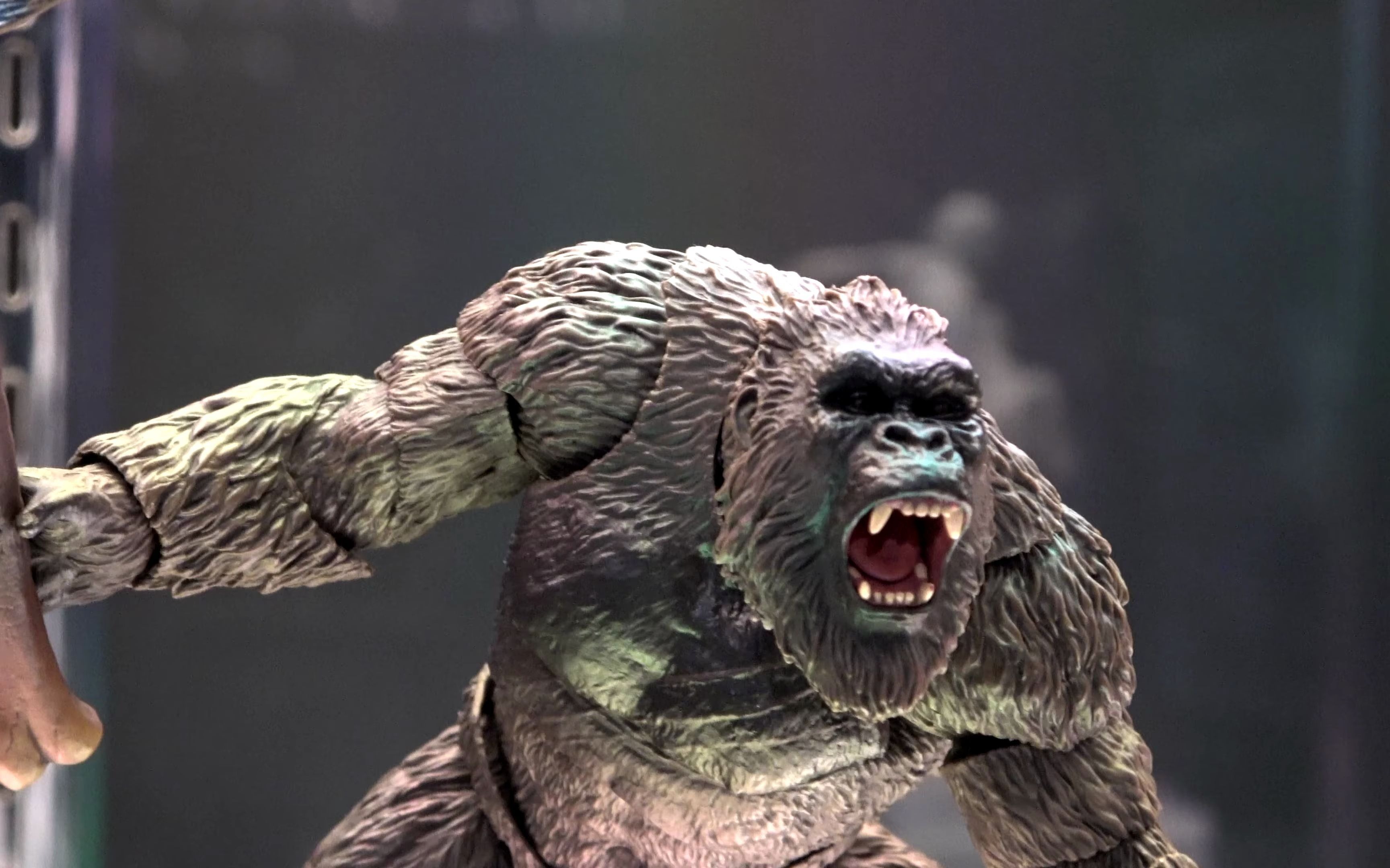 【4k实拍】万代shm 金刚2021电影版 shmonsterarts shm godzilla vs