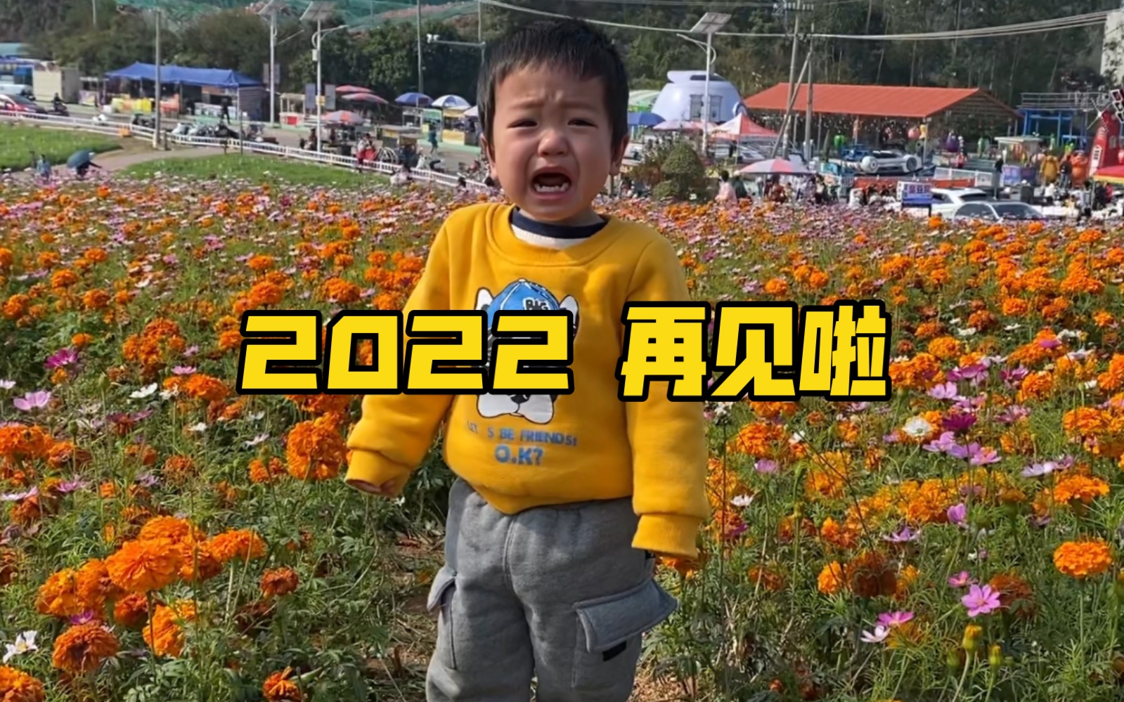 [图]2岁幼崽2022年度报告，这年我好厉害！！！