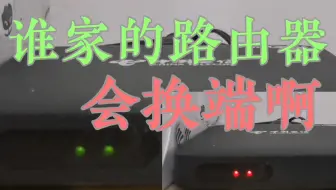【整活】谁家的路由器会换端？