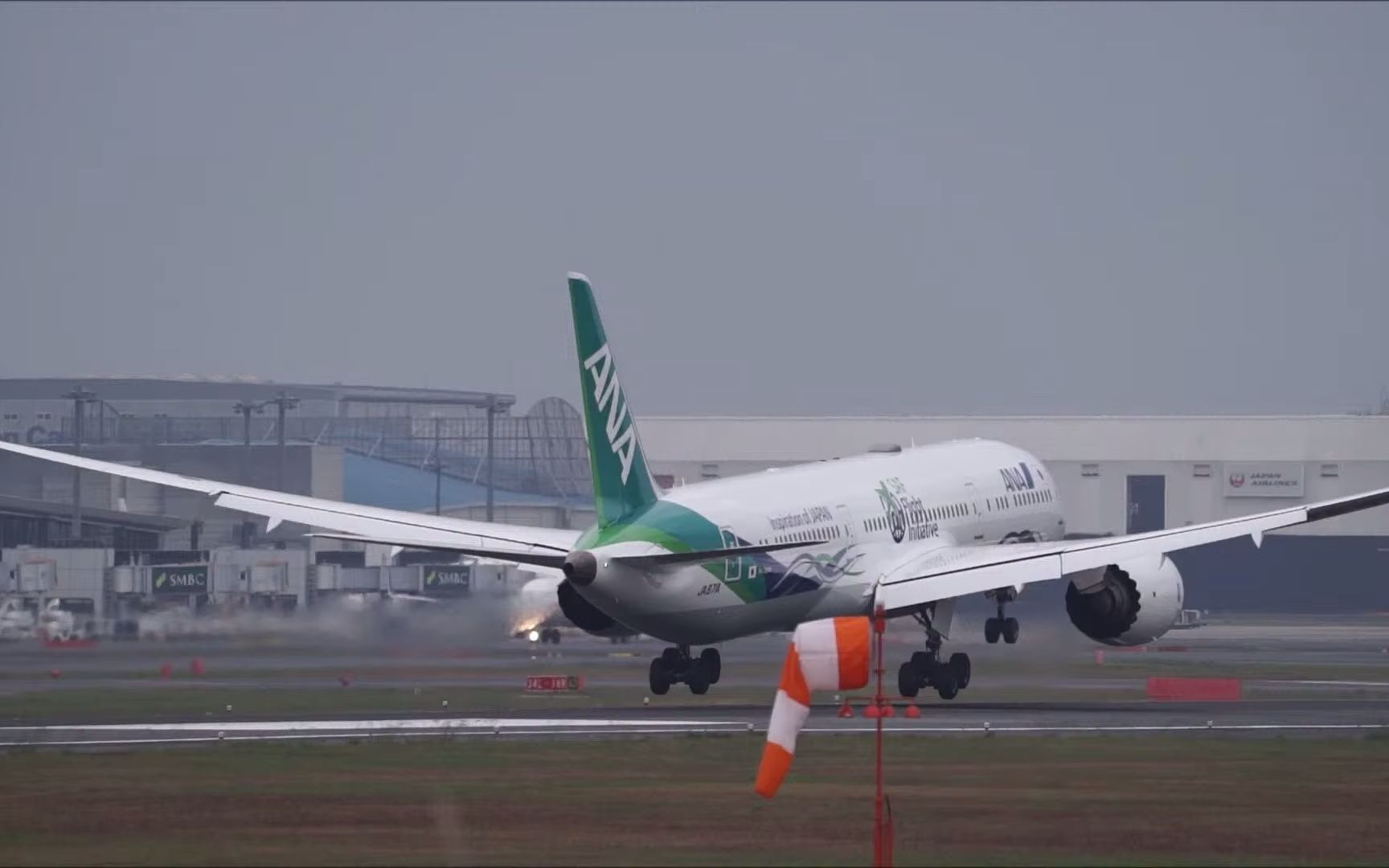 ana 787-9绿色涂装|成田空港