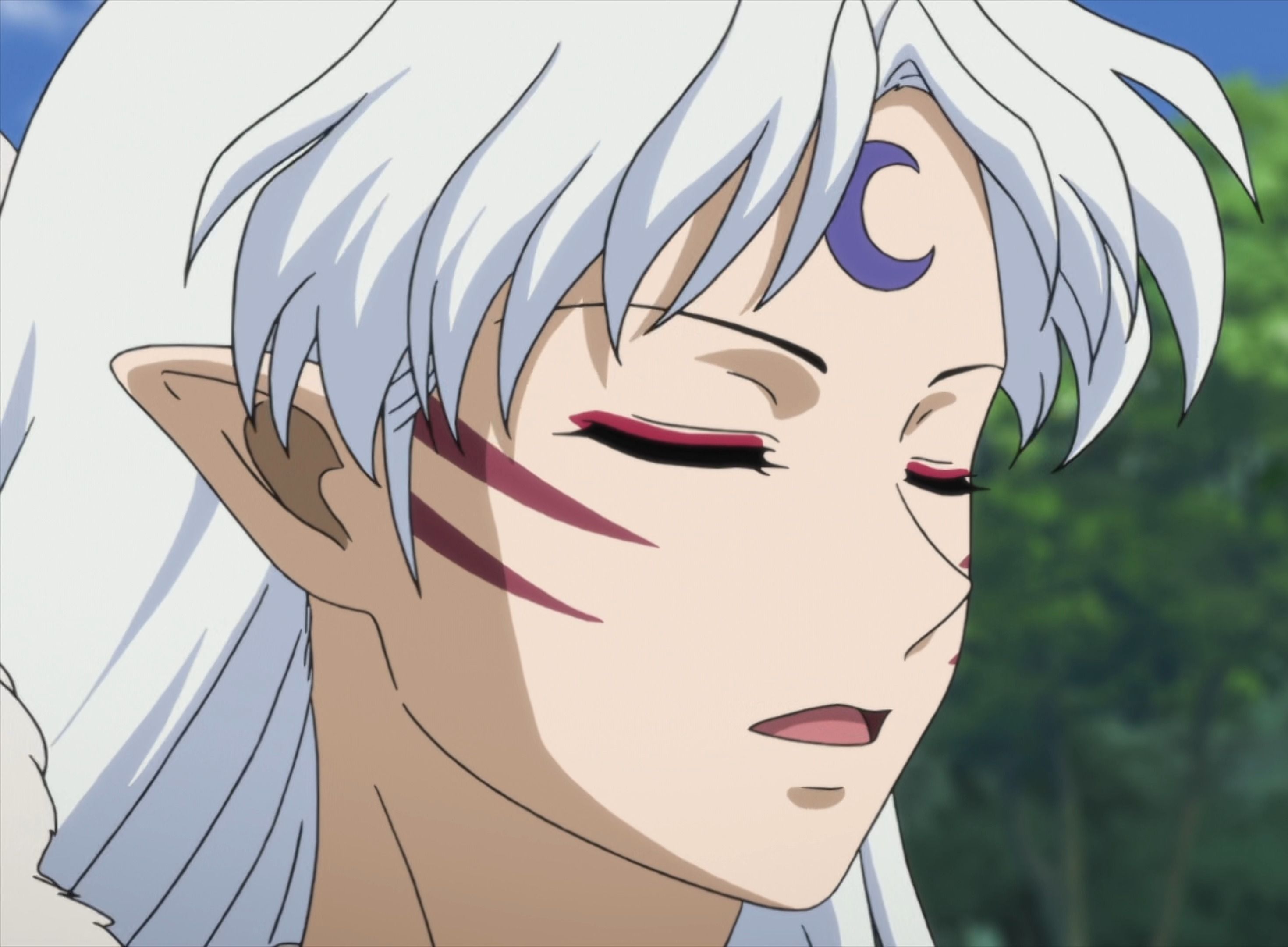 犬夜叉『 杀生丸系列片段』半妖篇-22