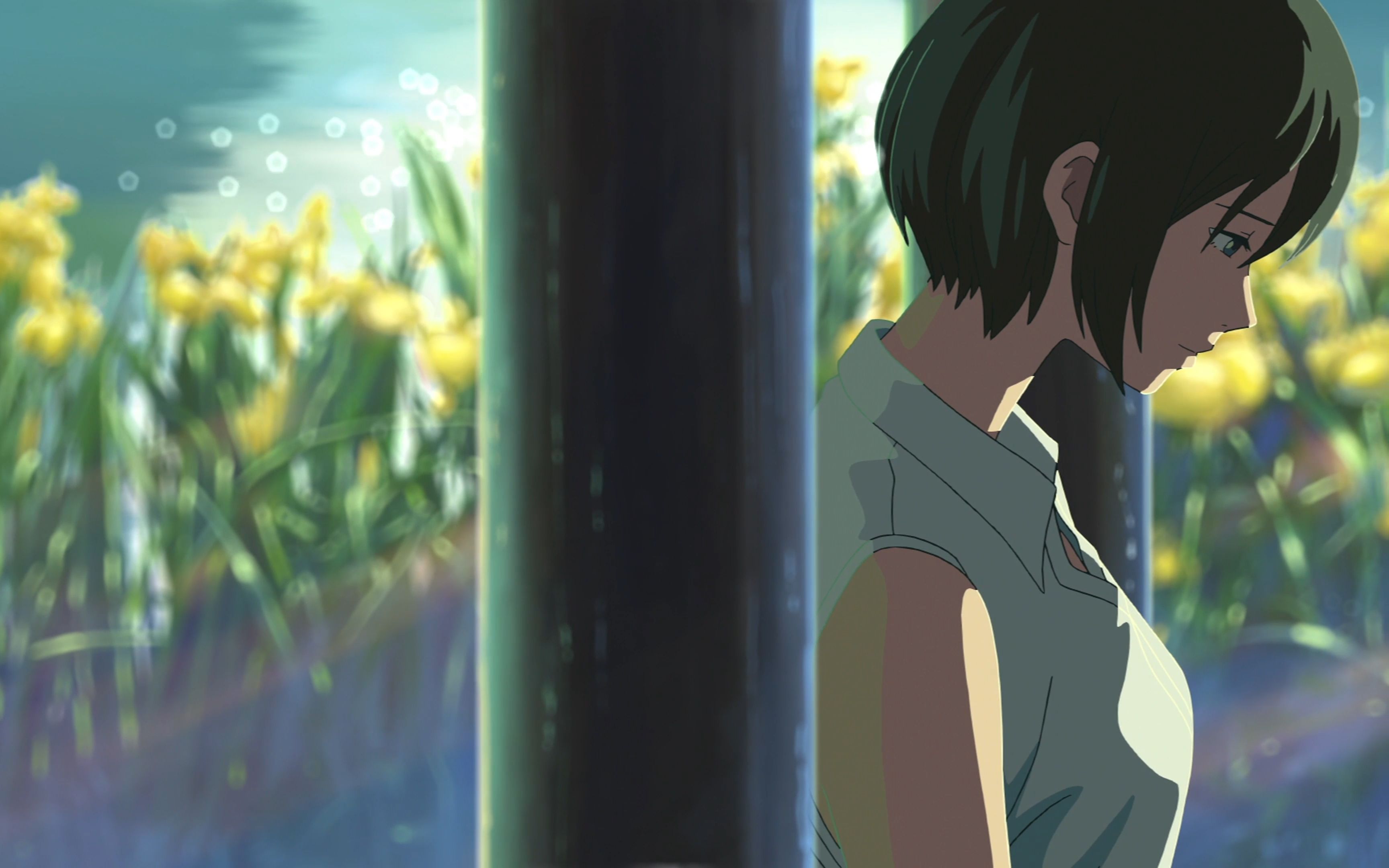 周杰伦《晴天》 【4k 30fps】新海诚《言叶之庭》