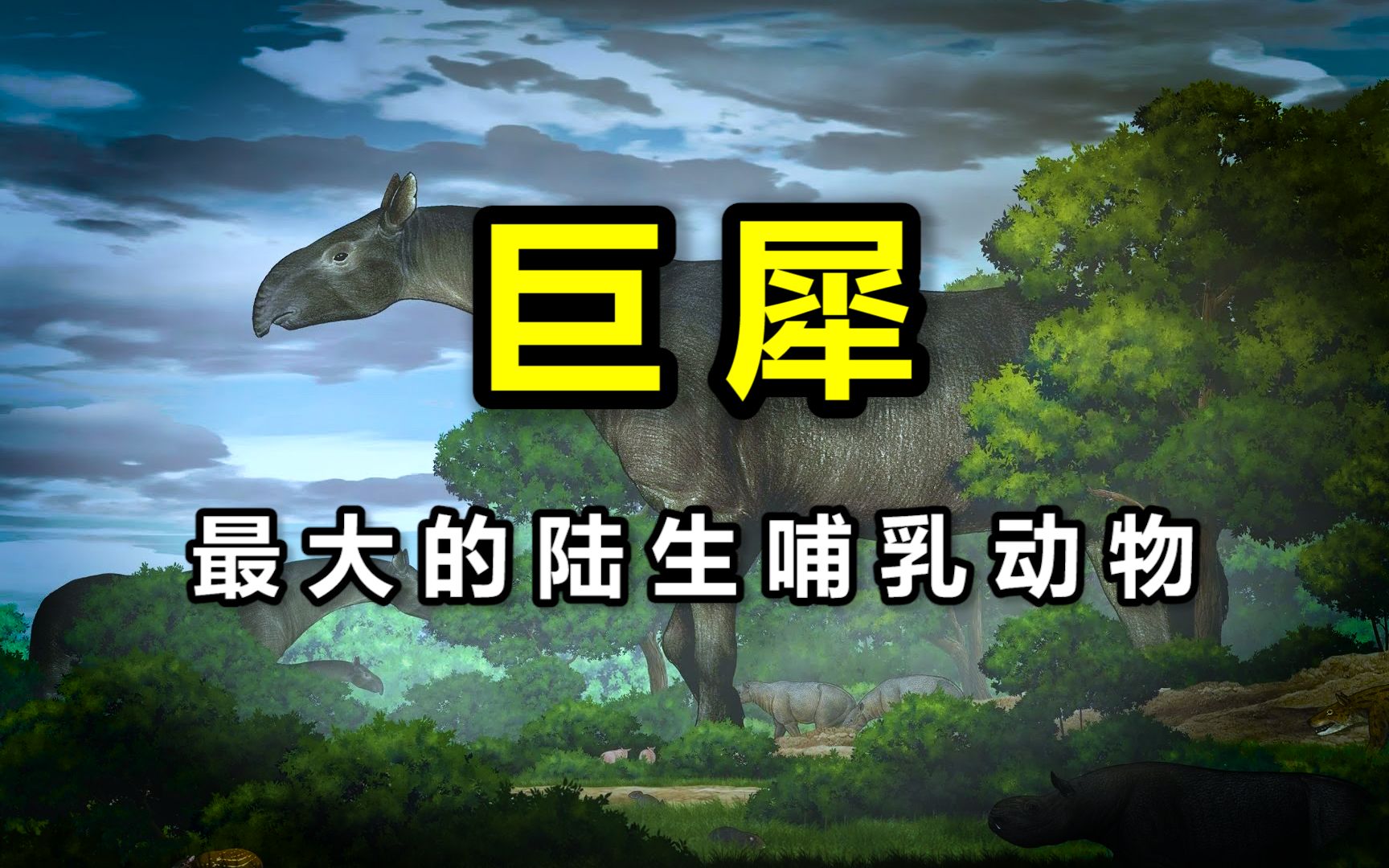 [图]比非洲象还大的犀牛！犀与象为何有2000万年的世仇？