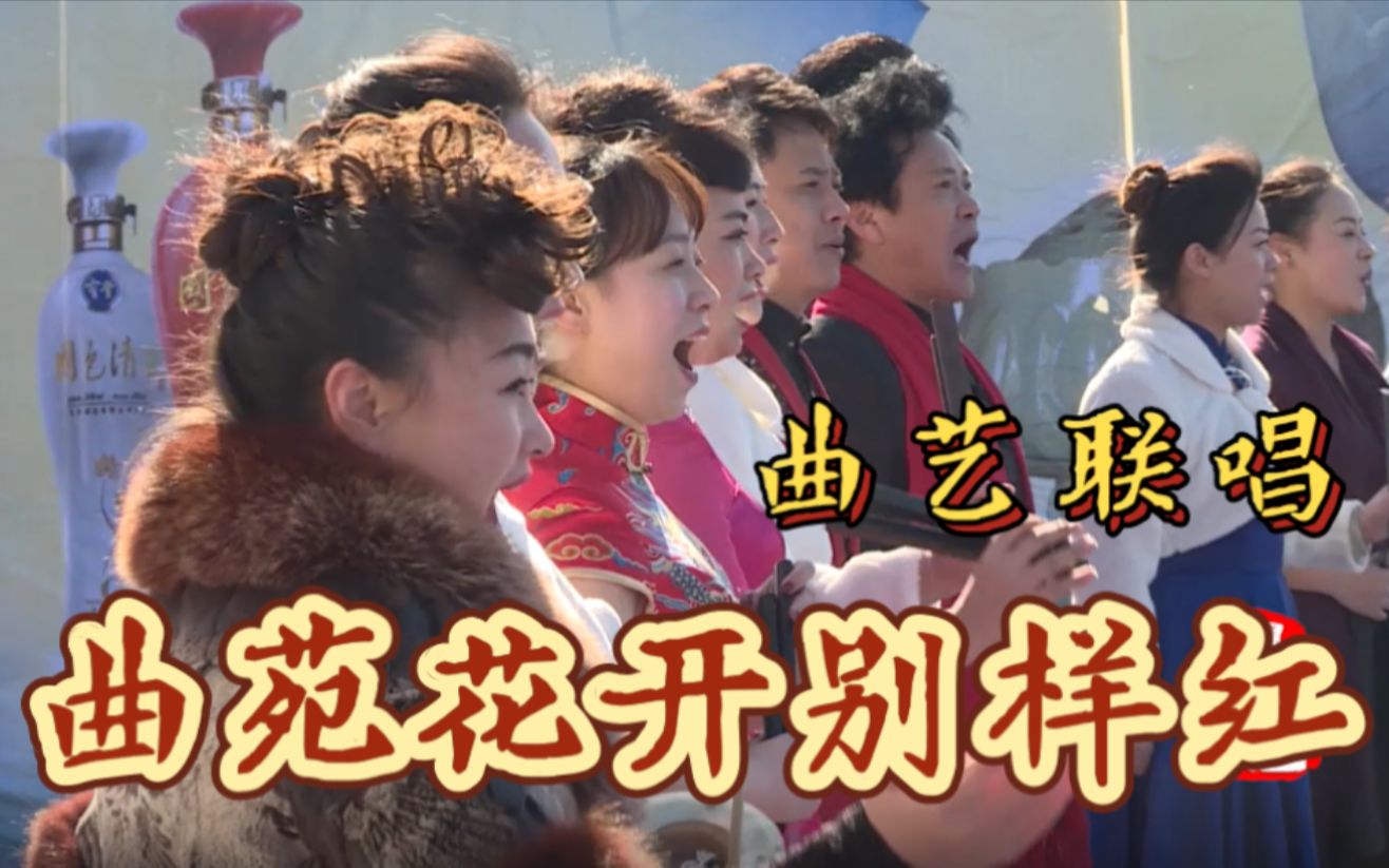 [图]【神仙打架系列】马街书会上的曲艺联唱《曲苑花开别样红》