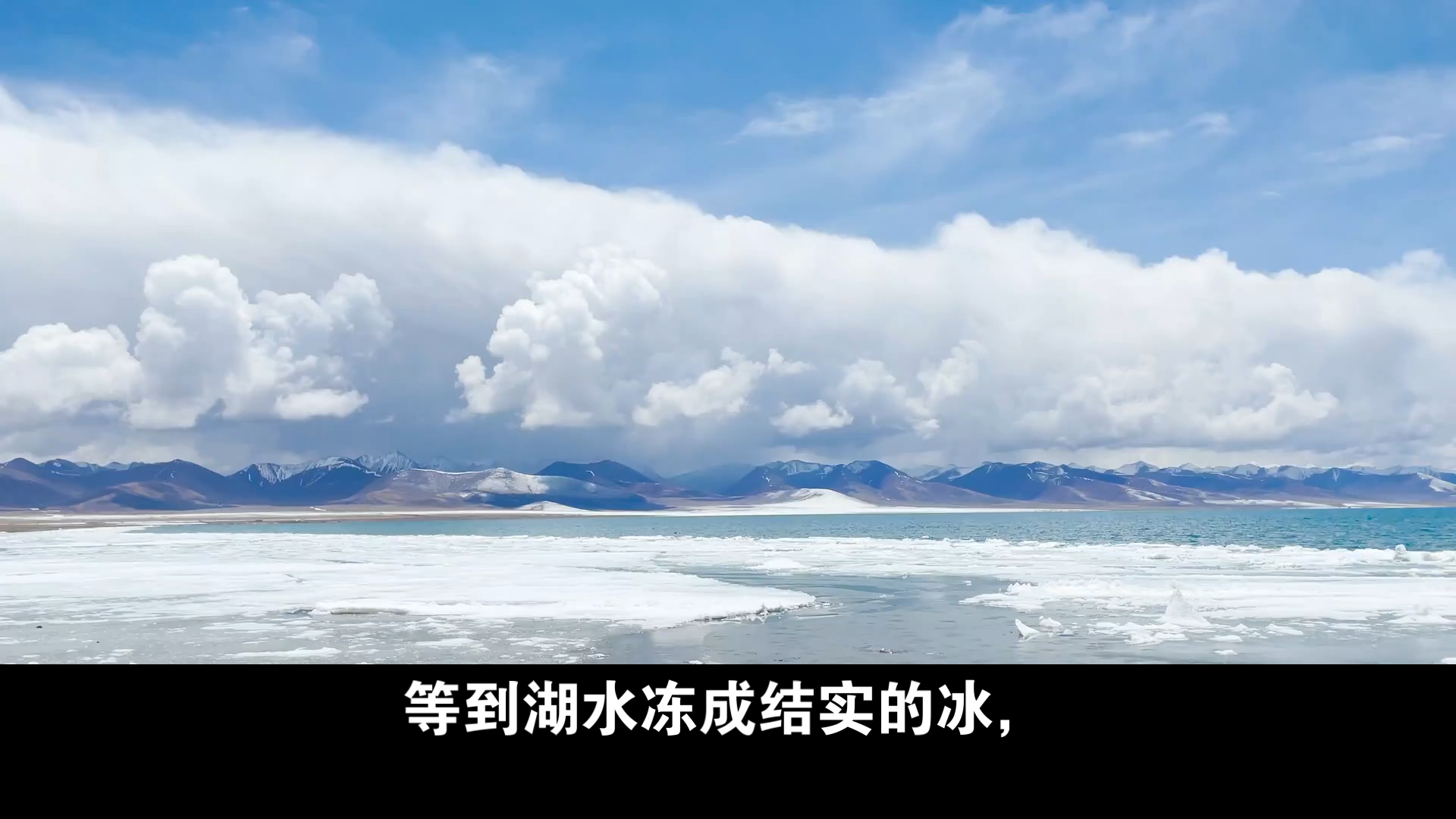 瓦尔登湖 冬天的动物-1