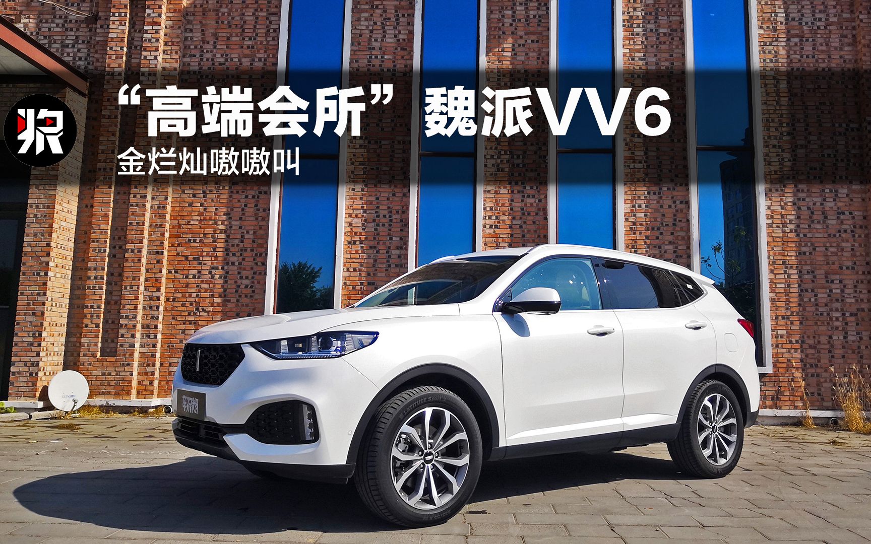 金烂灿嗷嗷叫 "高端会所"魏派vv6