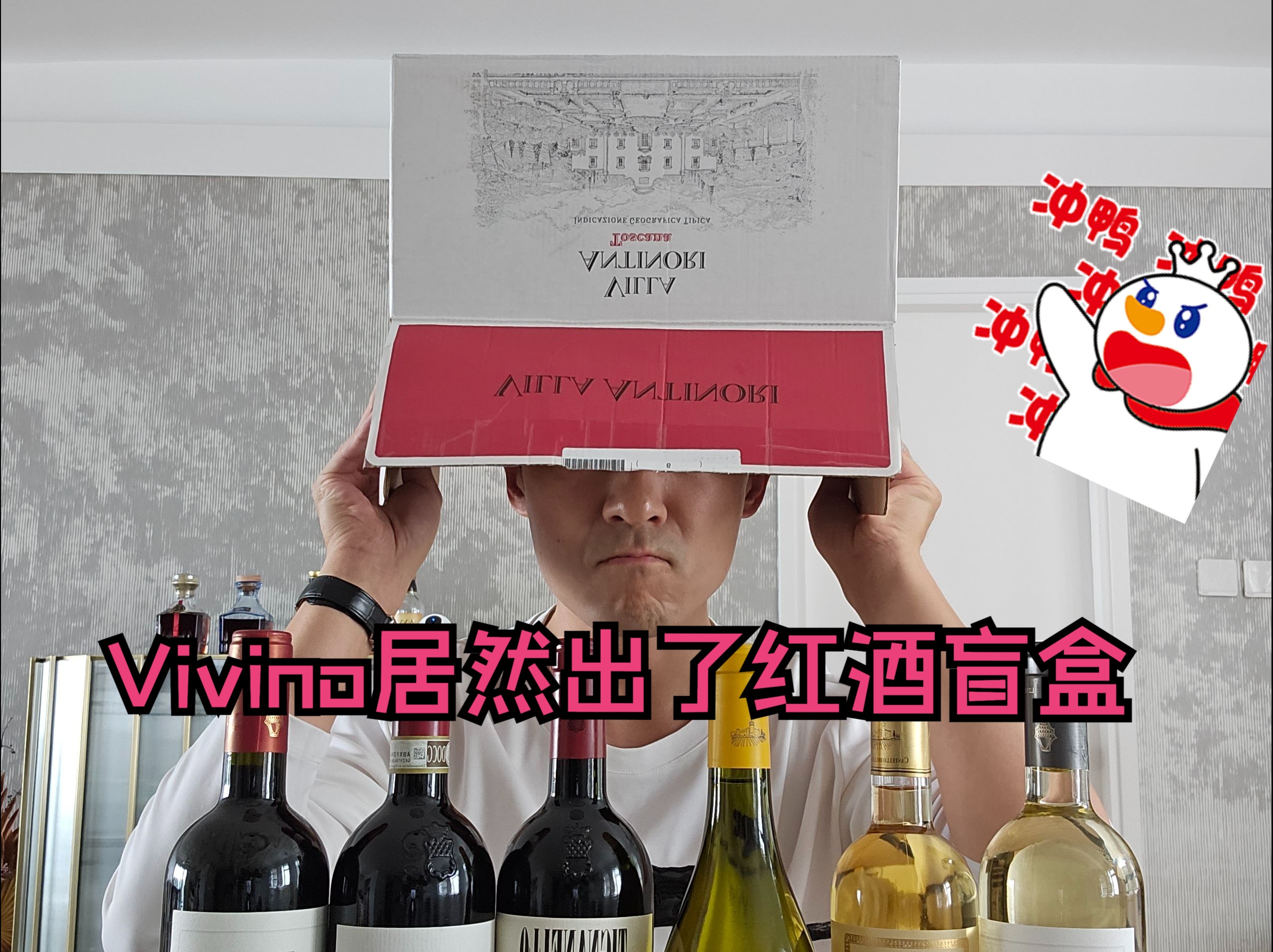 Vivino红酒盲盒开箱,抽中WS TOP ?哔哩哔哩bilibili