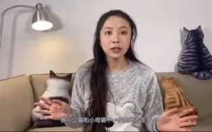 Download Video: 你知道猫咪如何分公母吗？